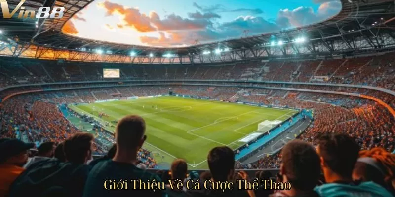 Giới Thiệu Về Cá Cược Thể Thao