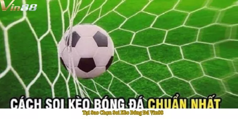 Tại Sao Chọn Soi Kèo Bóng Đá Vin88